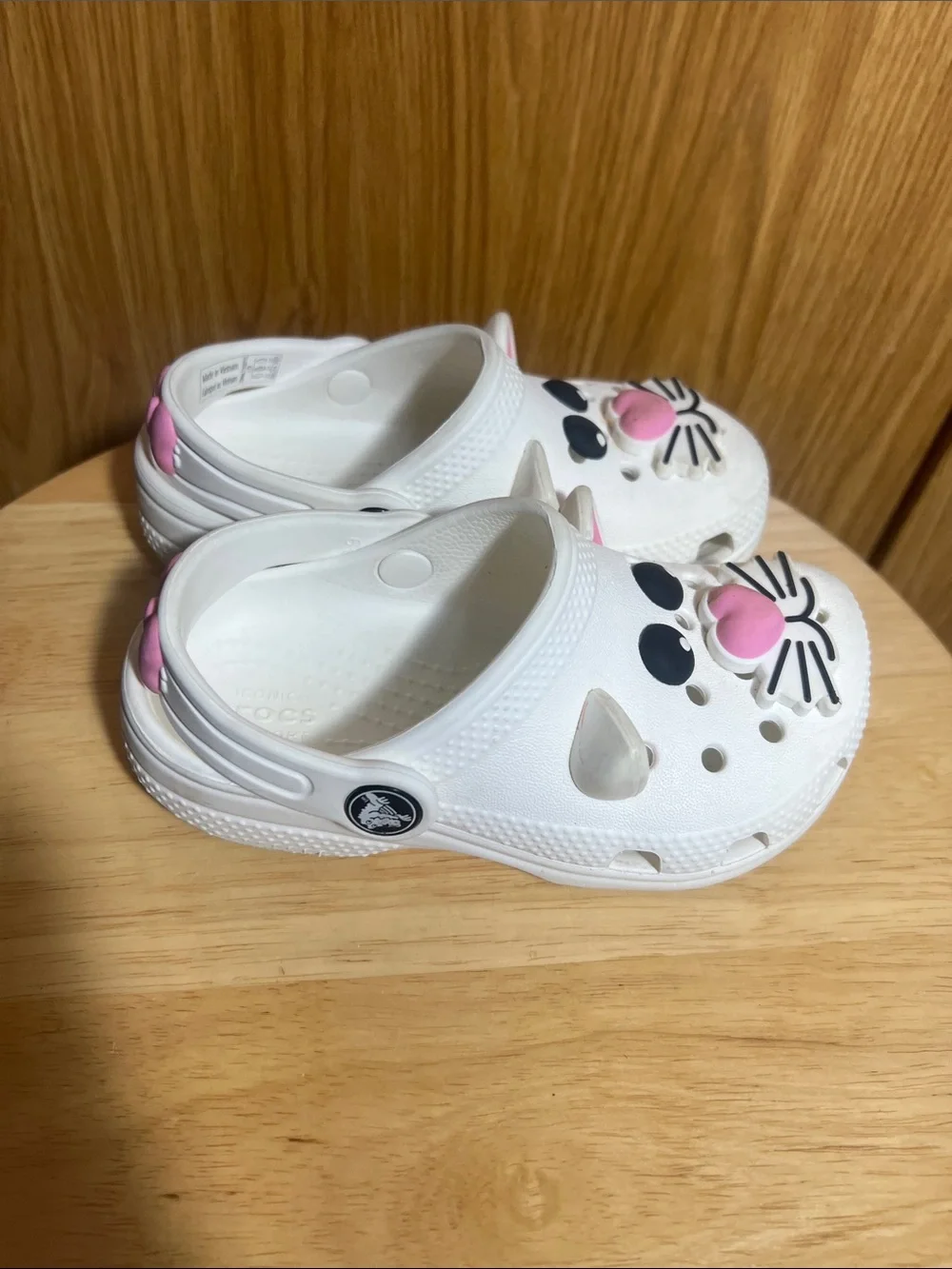 CROCS playful cat